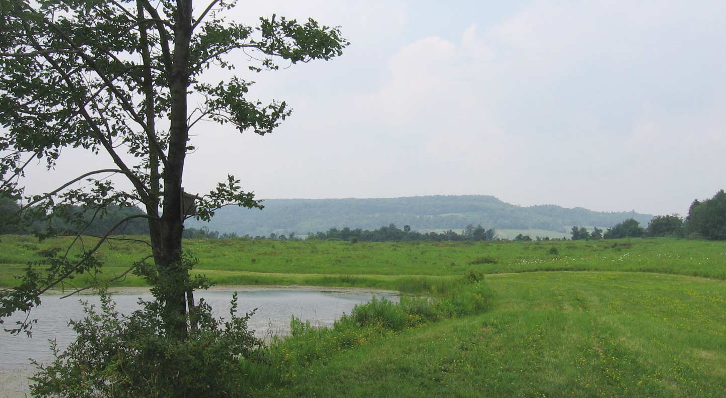 Nature